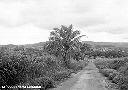Route vers Kabambare - 1.01.1958
