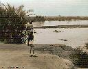 Parc ALBERT Juillet 1959 - Hippopotames, rivière RUTSHURU