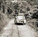 Voyage de retour en FRANCE Juillet 1959, dans la forêt du MAYOMBE