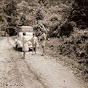 Voyage de retour en FRANCE Juillet 1959, dans la forêt du MAYOMBE