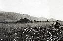 1947 - Paysage des montagnes Marungu