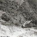 La Kyimbi,sans crue - Débit: 10 à 12 m3 sec. - Vit.: 1 à 2 m sec. - Nov 1957