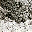 Ecume de la Kyimbi en crue - Débit: 150 m3 sec. - Vit.: 5 m sec. - Nov 1957