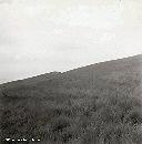 Montagne (Détail visible à la loupe: 2 antilopes) - Fev 1958
